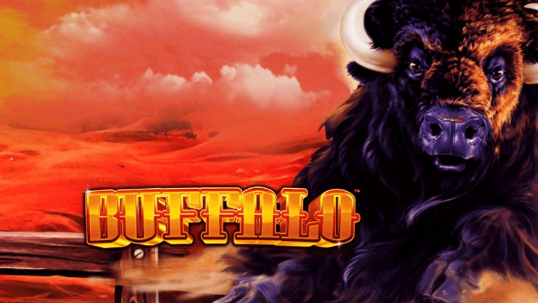 The logo of Buffalo by Aristocrat, one of the most well-known buffalo slot machines.